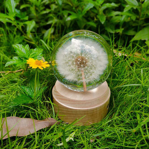 永生花植物标本树脂胶水